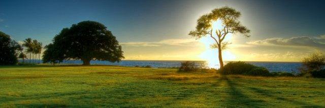 SarahRheault13's profile banner image