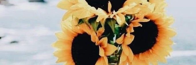beka_suuh's profile banner image