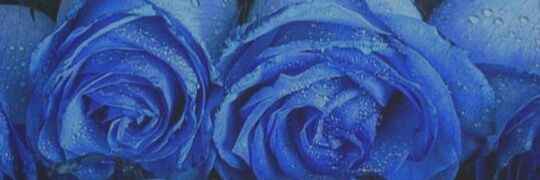tm121k's profile banner image