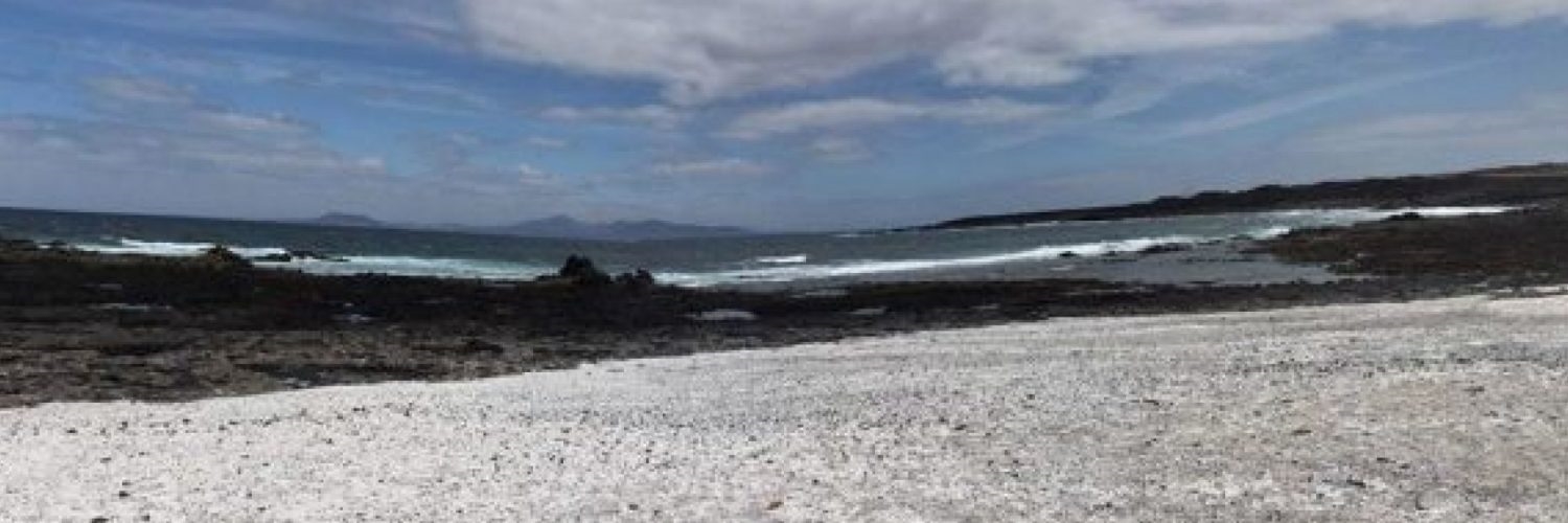 startpagesearch banner