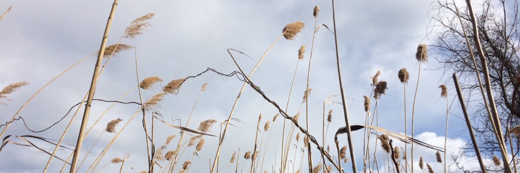 timnottage's profile banner image