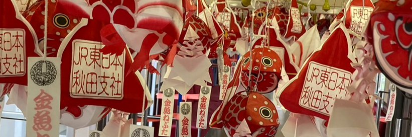 千葉こうき's banner