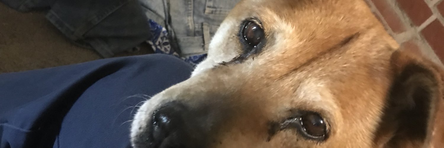 _donfidel's profile banner image