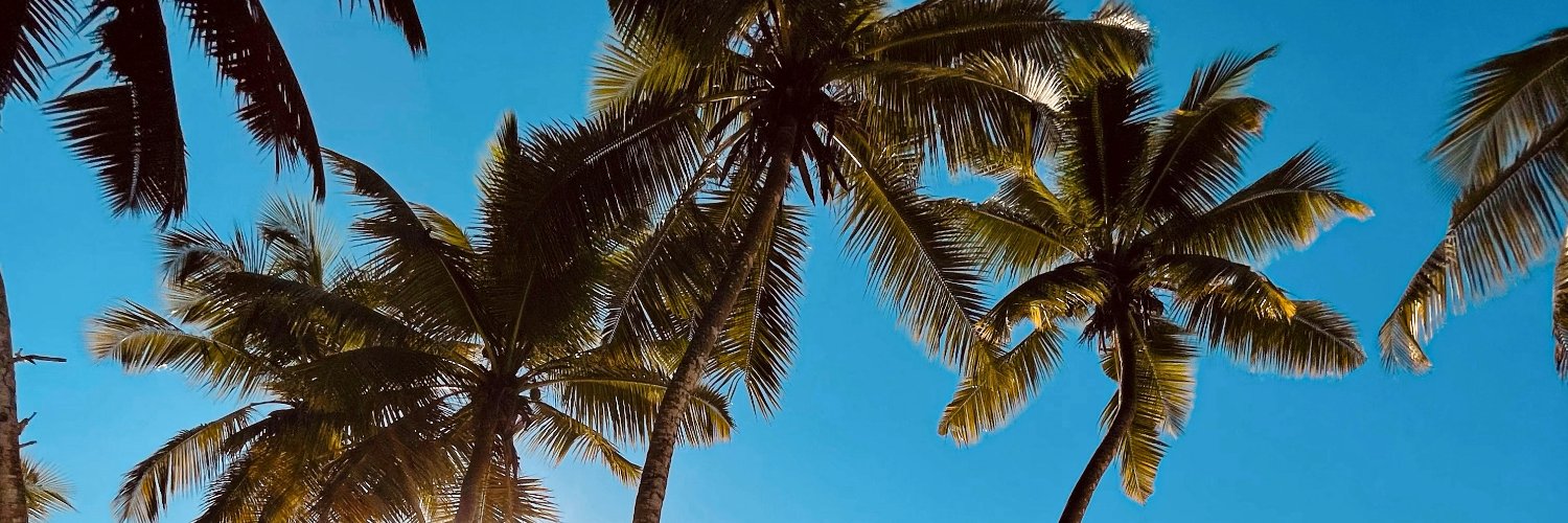 RomYasha / #Cryptomarketing 🤑/ #investments 💼 / banner
