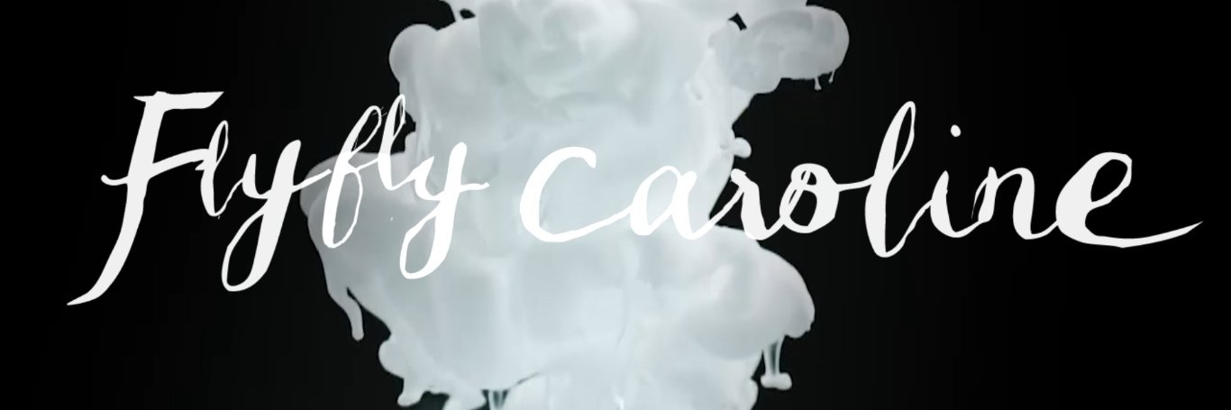 FlyFlyCaroline's profile banner image