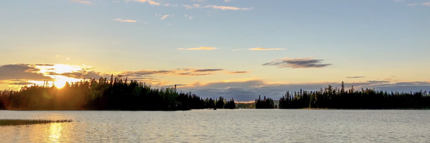 Yaneau's profile banner image
