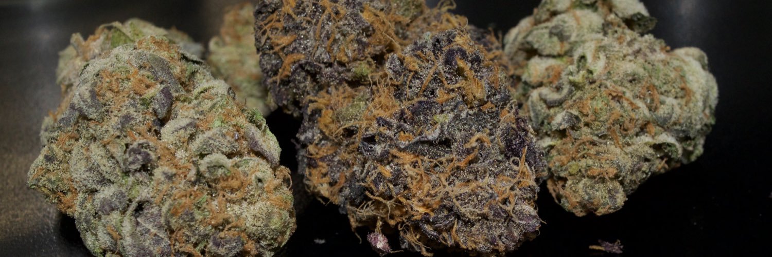 dankshots420's profile banner image
