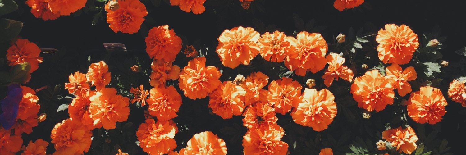 𝒜𝓊𝒹𝓇ℯ𝓎 🧡✨ semi ia banner