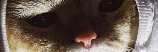 barx_xy's profile banner image