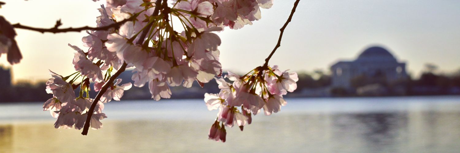 m_priyaa's profile banner image