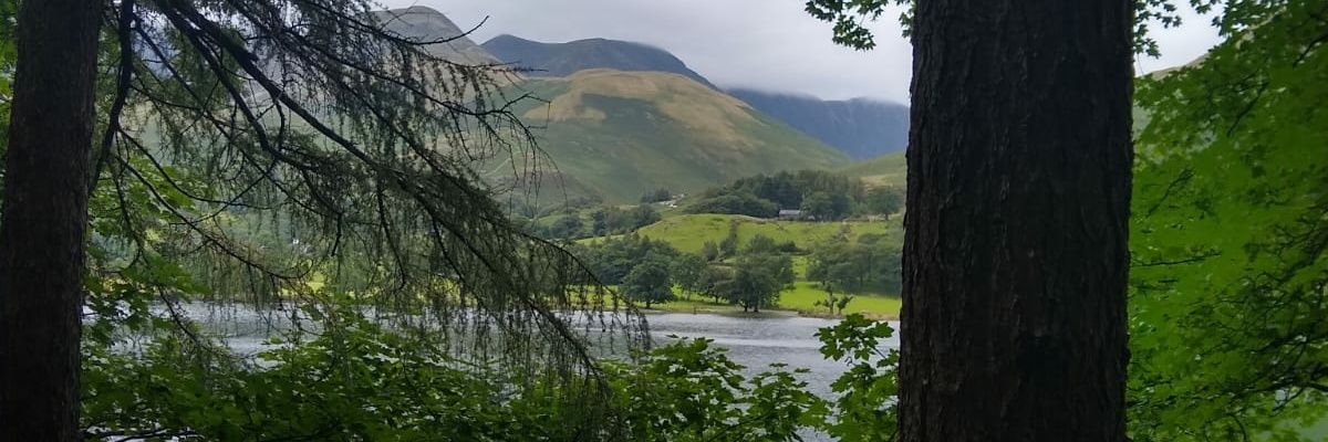 Dr. Esin Turkbeyler banner