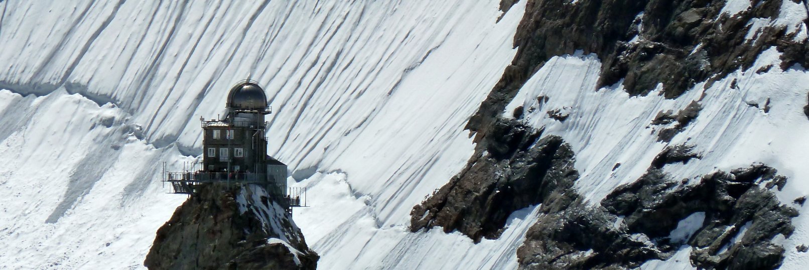 Dr Will Seviour banner