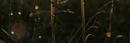 Aishaa__O's profile banner image