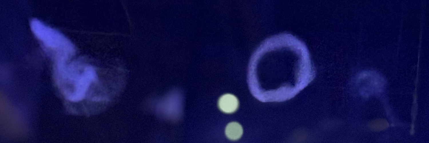 sophdapope's profile banner image