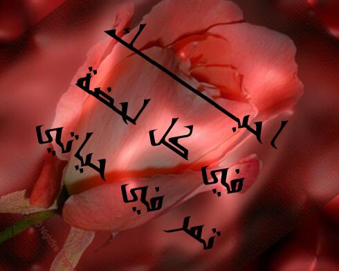 kuw_ku's profile banner image