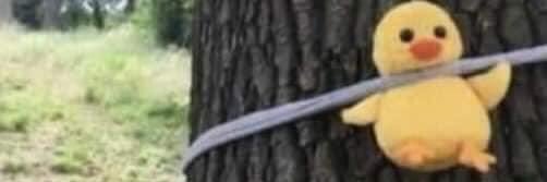 dr_mayssam's profile banner image