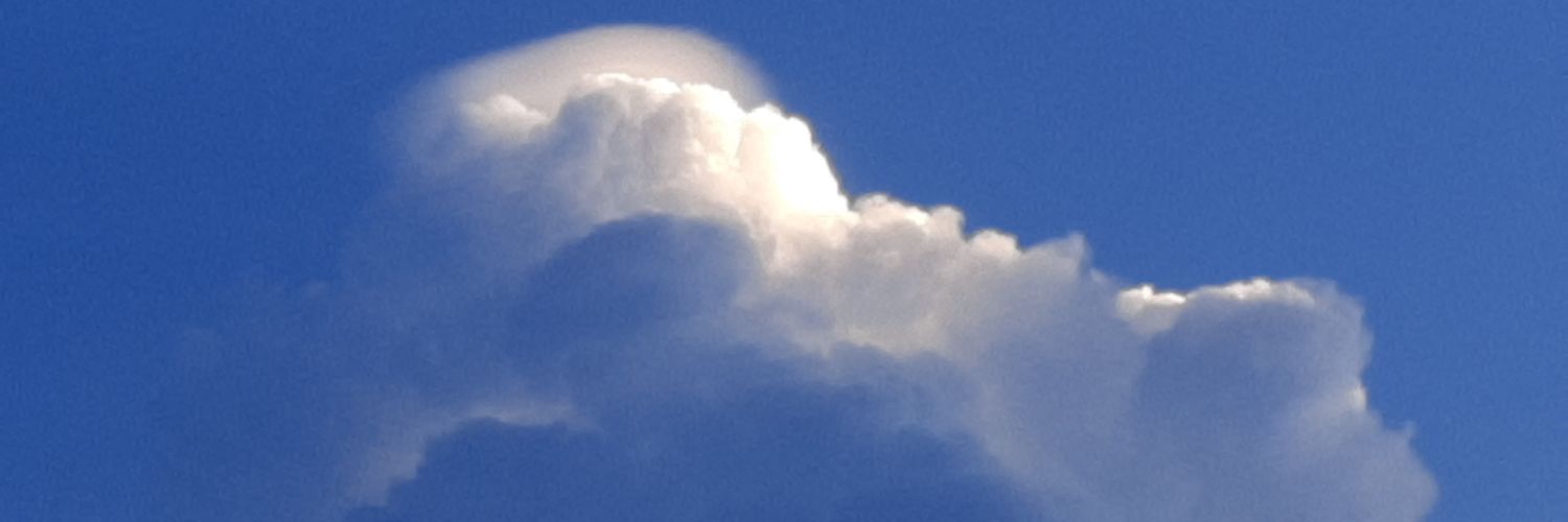 LObserver's profile banner image