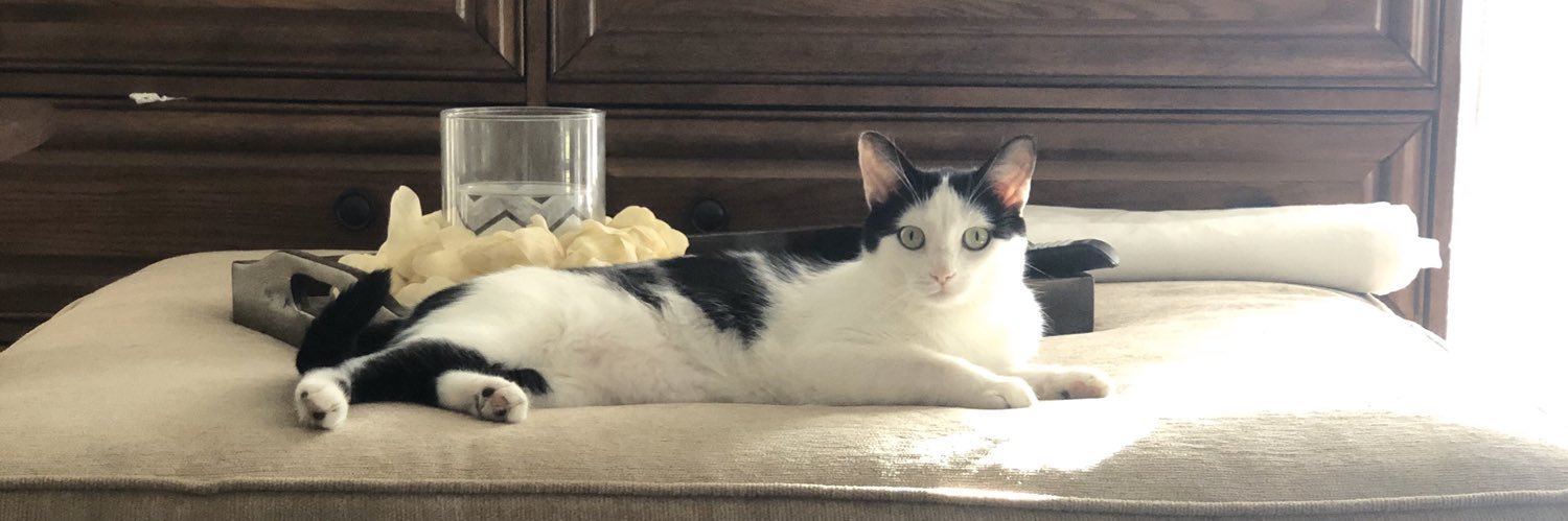 franks__2's profile banner image