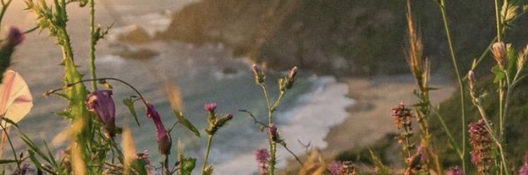 Emy_Kate96's profile banner image