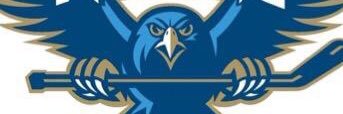 CSHS Frozen Falcons Hockey banner