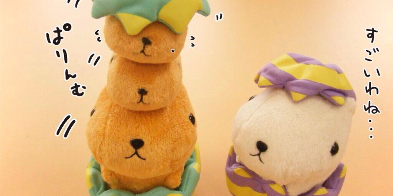 capivara123's profile banner image