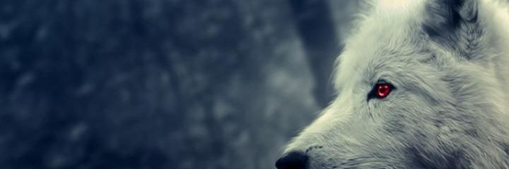 ＪＯＮ banner