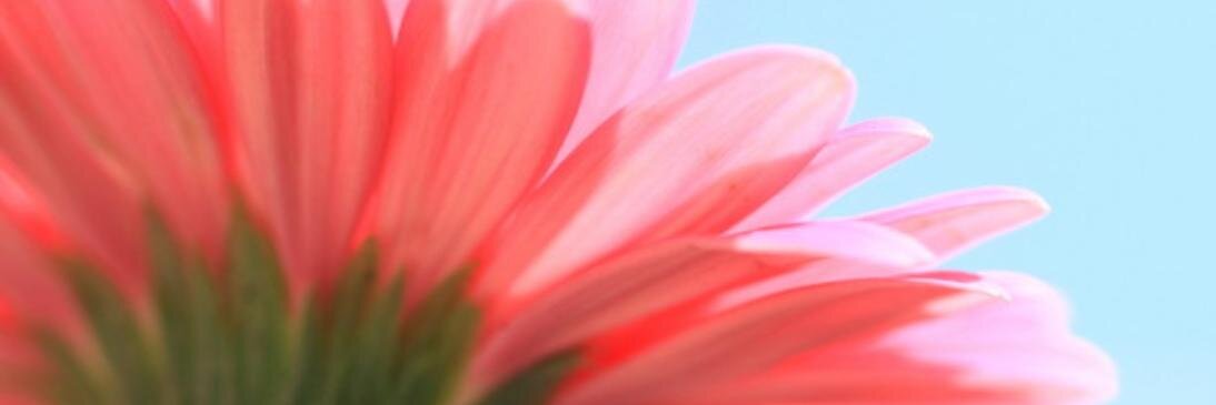 iy_y_'s profile banner image