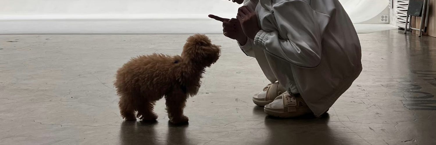 接无痛有钱 banner