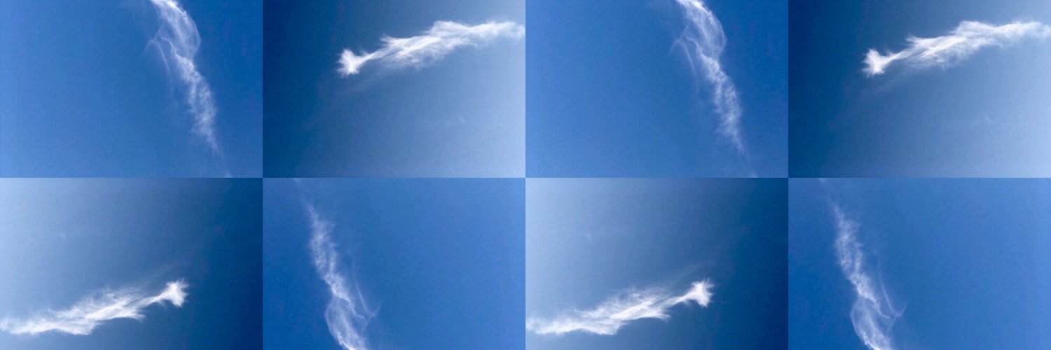 drewwells's profile banner image