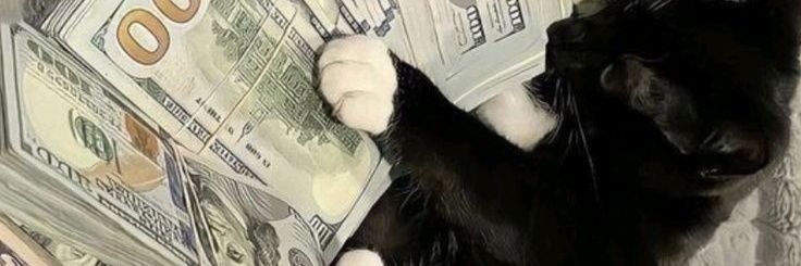 mel_kthv9's profile banner image