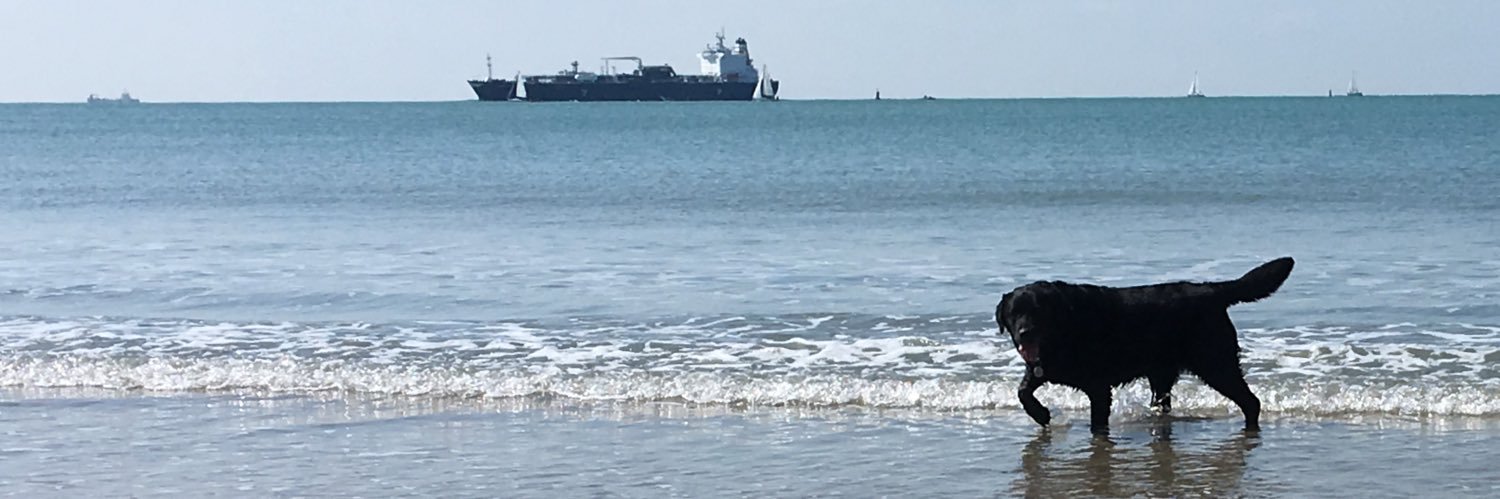 Charlotte d’Harcourt banner