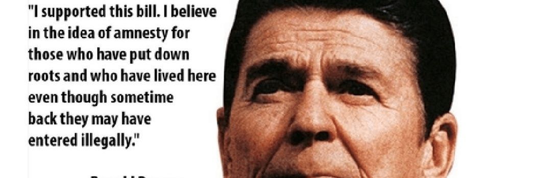 Otis Driftwood 🐕 banner