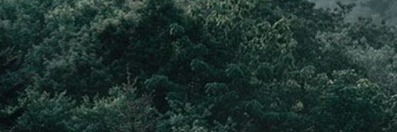 chrstrobel's profile banner image