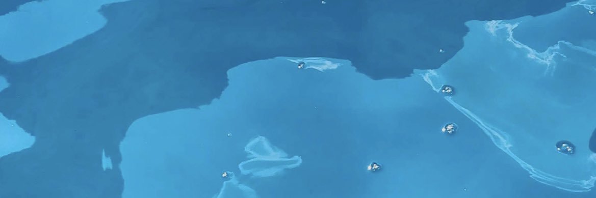 eppesuigortu's profile banner image