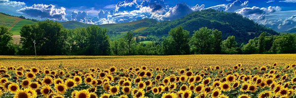 BekirHocaoglu Profile Banner