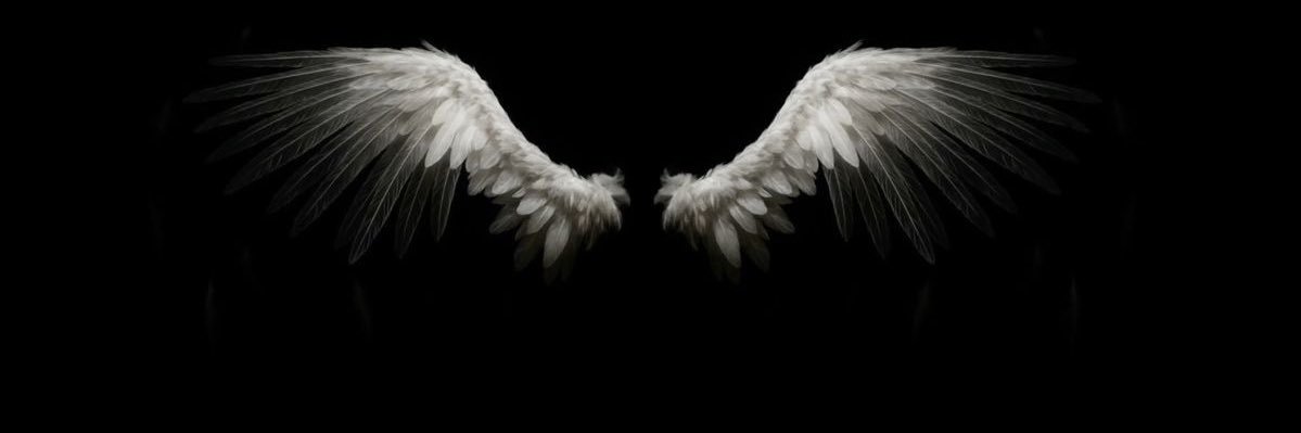 millie ੈ✩‧₊˚ banner