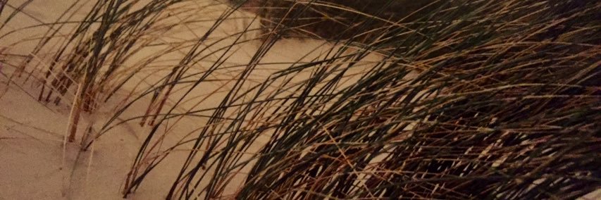 GSchlenther's profile banner image
