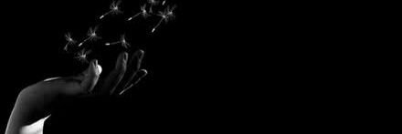 Ethereal -'Élexyr'- Exilium. [TRIUNFO] banner