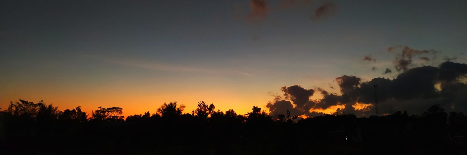 dwiaristrisl's profile banner image