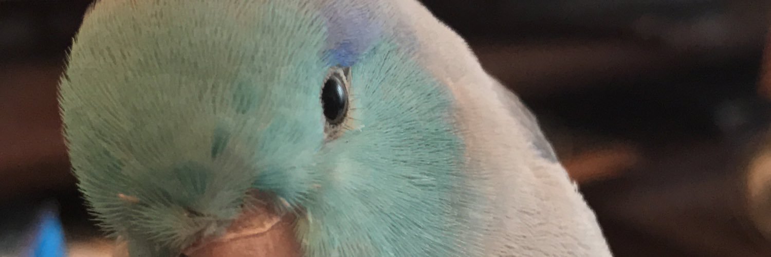 samicoro's profile banner image