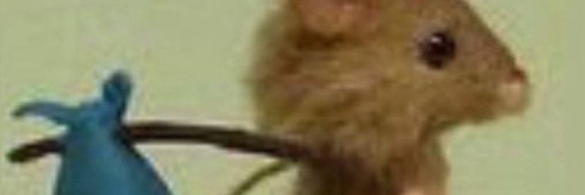 jo banner