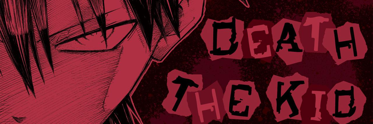 SymmetryKiddo's profile banner image