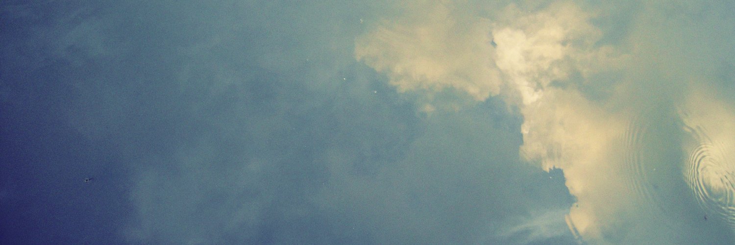 birdspeaks's profile banner image