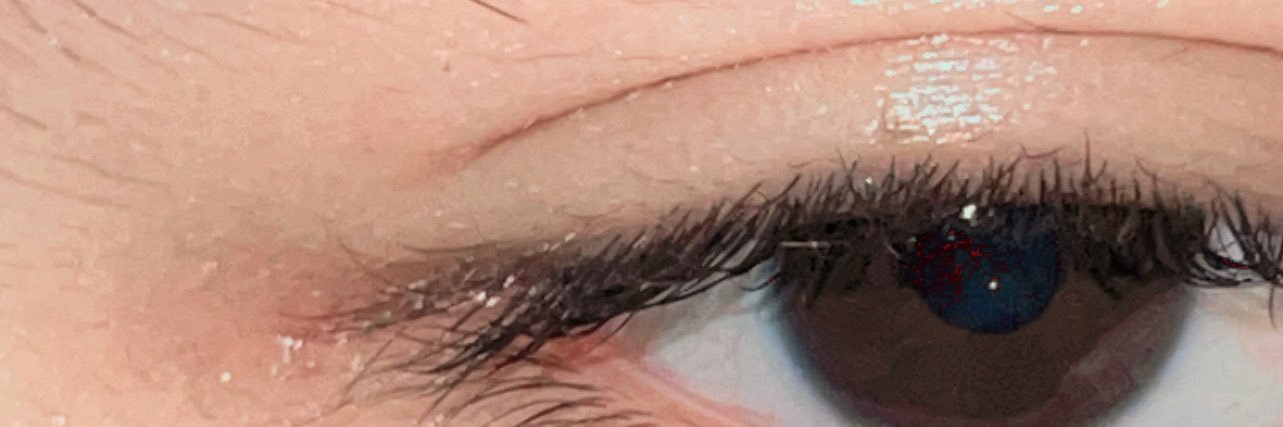 𝑬𝒍𝒊𝒐真 banner