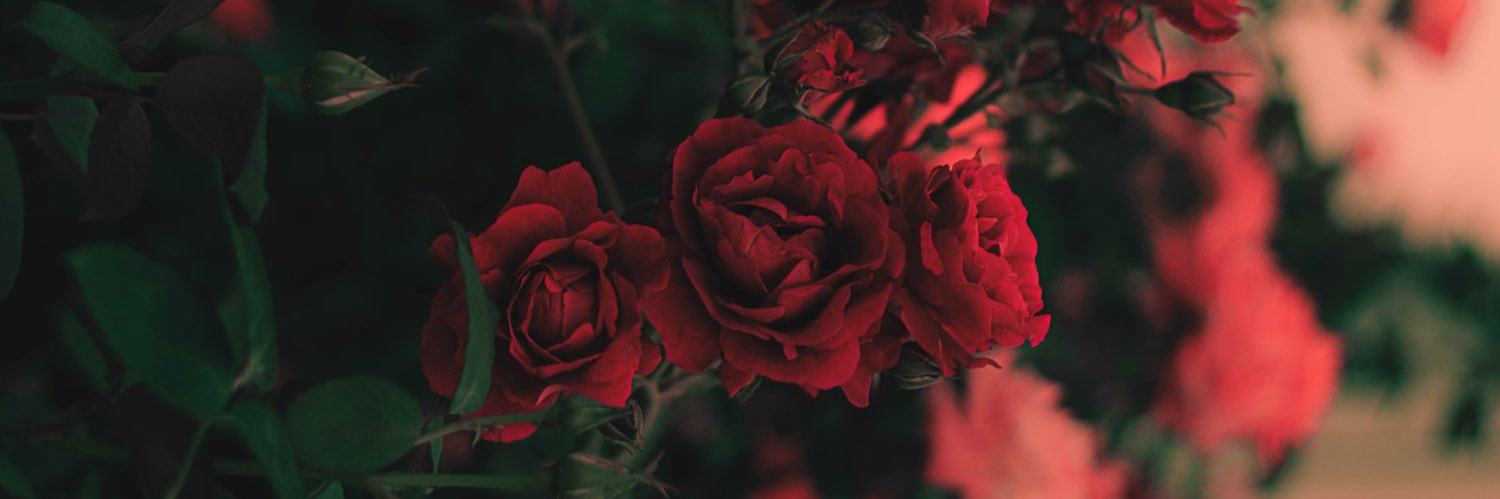 OneRandomPriv's profile banner image
