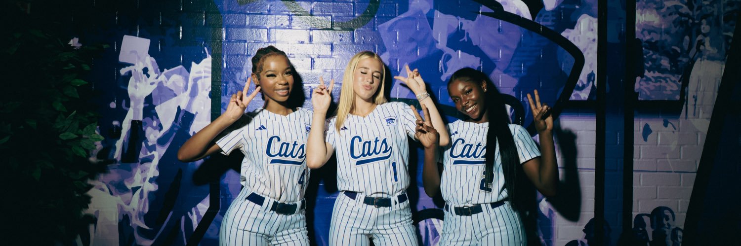 DuluthSoftball's profile banner image