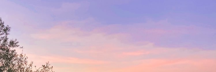 julsss banner