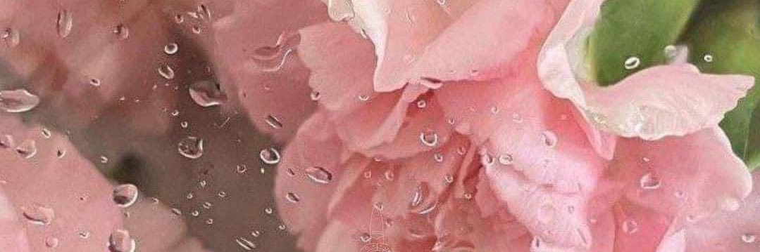aloveanything's profile banner image