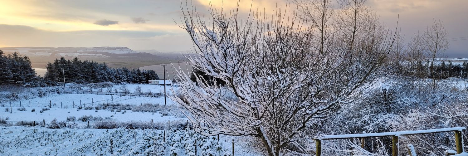 lloydusw01's profile banner image