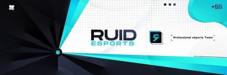 Team Ruid banner
